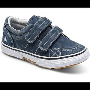 Sperry Little Kid's Halyard Hook & Loop Sneaker
